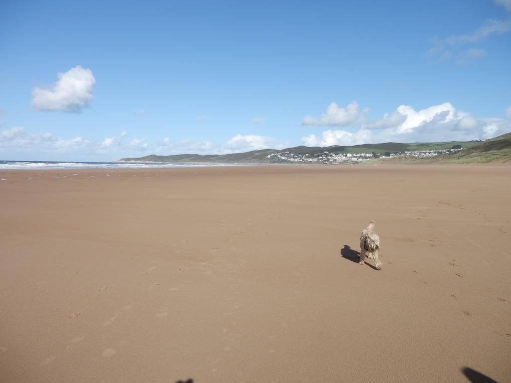 Ocean Backpackers Self-Catering Hostel Ilfracombe Bagian luar foto